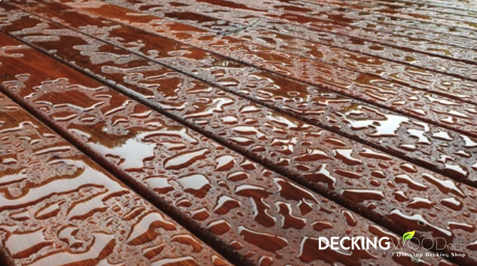 86x19 Concealed Fix Spotted Gum Decking S&B Grade KD Pack Size from 450lm