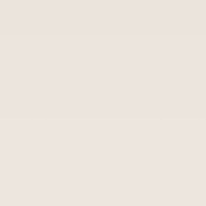 Solid light gray color swatch