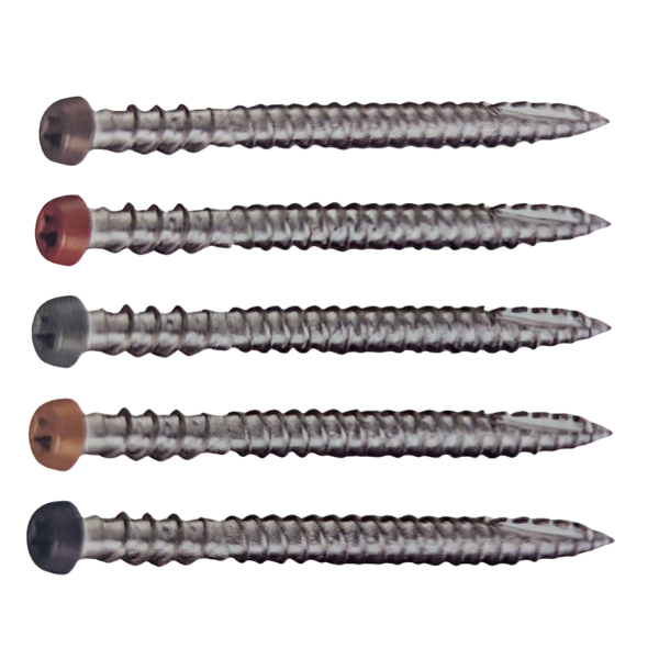 Coloured Decking Screws for Modwood Xtreme Guard 305SS Composite Decking Suitable for Wooden Joist - Box of 100